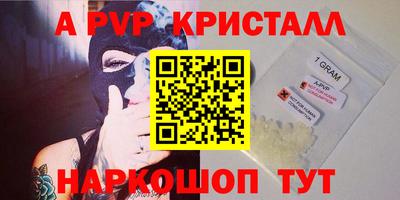 ECSTASY Владимир