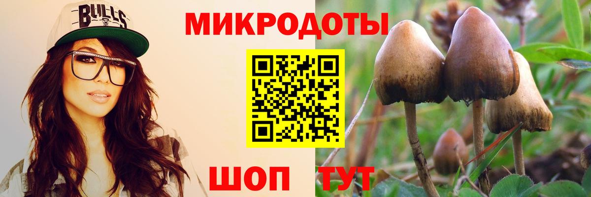 Анжеро-Судженск  Галлюциногенные грибы Cubensis  Вход с VPN 