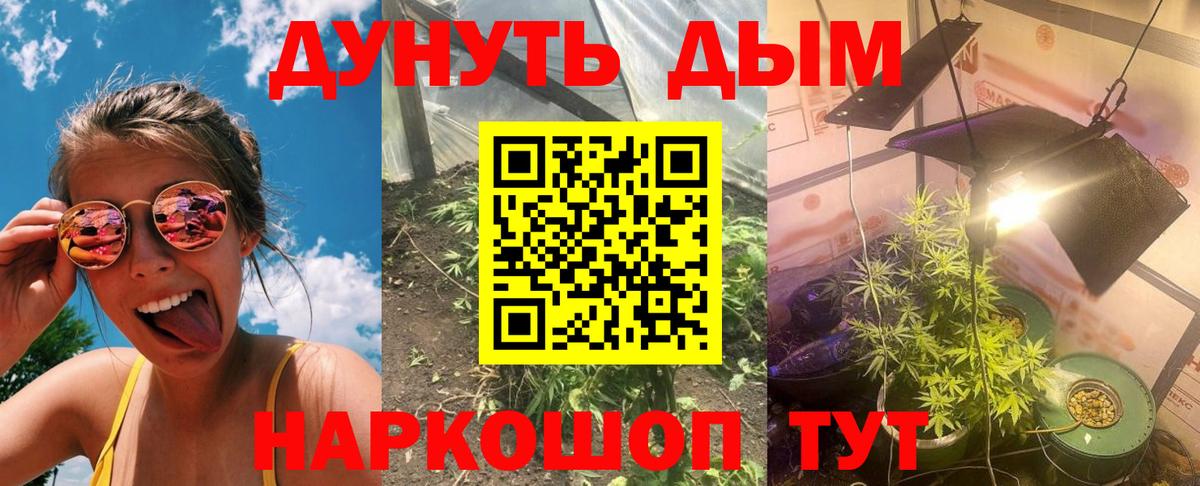 Марихуана SATIVA & INDICA  Вход с VPN  МАРИХУАНА Amnesia  Анжеро-Судженск  Шишки марихуана сатива  Канабис Amnesia 